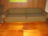 Sleeper Sofa Mid Century Modern