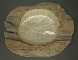 Lot 65:  Large Wood Sculptural Vessel Bowl. Raw wood with lacquered Capiz shell interior. Some white washed finish. Not marked.: Dimensions:  H: 4.5 inches: W: 16 inches: D: 18 inches --- US Shipping charge: $35