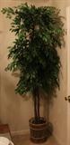 Silk ficus tree in dining room.