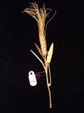 22k Greece Wheat Brooch - approx. 6"