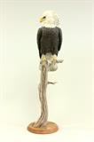 Lot #1353 Bald Eagle by Richard Keoditz