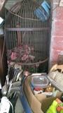 bird cage