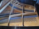 B110 #1 K.Kawai 5’10” 1981 Black Satin  Baby Grand Piano #1241971 Condition of 8/9