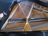 B110 #1 K.Kawai 5’10” 1981 Black Satin  Baby Grand Piano #1241971 Condition of 8/9
