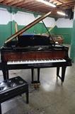 A19#9 Steinway Sons 1918 6’2’’ Grand Piano Model A Hi Gloss Black & Burl Walnut Finish  with working QRS disc player  Minor Knicks Condition of 9/10 #191495
