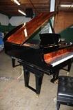 A19#9 Steinway Sons 1918 6’2’’ Grand Piano Model A Hi Gloss Black & Burl Walnut Finish  with working QRS disc player  Minor Knicks Condition of 9/10 #191495