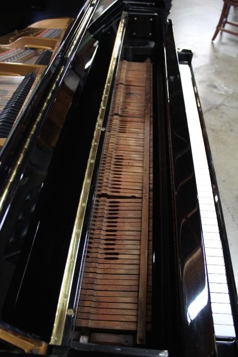 A19#9 Steinway Sons 1918 6’2’’ Grand Piano Model A Hi Gloss Black & Burl Walnut Finish  with working QRS disc player  Minor Knicks Condition of 9/10 #191495