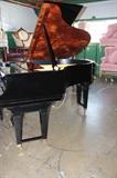 A19#9 Steinway Sons 1918 6’2’’ Grand Piano Model A Hi Gloss Black & Burl Walnut Finish  with working QRS disc player  Minor Knicks Condition of 9/10 #191495