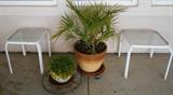 Plants and white accent patio tables