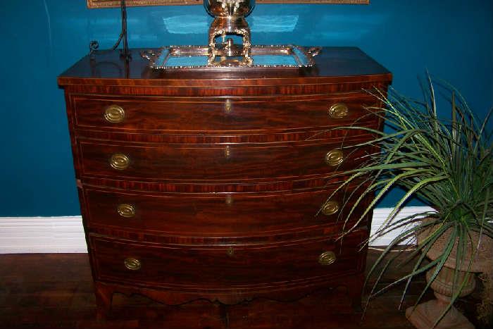 Close-up of the American chest