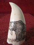 Whales tooth Scrimshaw