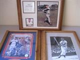 Baseball Memorabilia Ted Williams