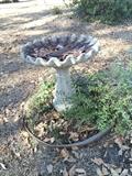                            Bird bath