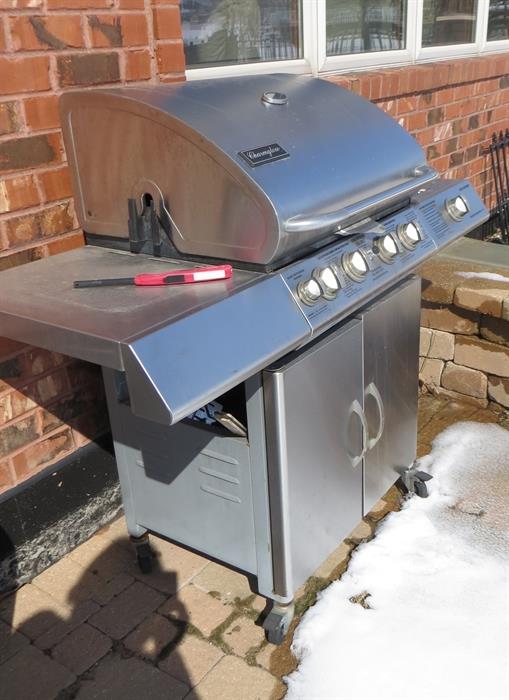 Stainless steel gas grill