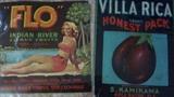 
Florida 20-40s~ "FLO" Indian River Citrus Fruits Label Oak Hill,  Fl. Villa Rica Brand Honest Pack Boca Raton, Fl