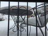 Outdoor iron patio furniture