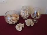 Sea shell decor