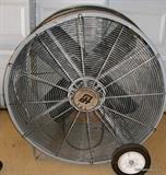 Fan