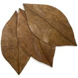 1127  Adrian Rizkallah (1962 -*, Brazil), a group of three ''Folha'' sculptures
Circa 2007, each signed ''Adriana Rizkallah'' along edge, two dated ''07'', each further inscribed to verso, the first: ''923927 / AR 064A-80200 / ''Leaf'' / No 5''; the second: ''924089 / AR 064A 80200 / Leaf / No 24''; the third: ''924089 / AR 064A 80200 / Leaf / No 5'', three papier-mache sculptures, each in the form of a monumental brown-green leaf dissected by a raised midrib, 3 pieces, the largest: 78'' H x 36'' W, est: $600/900

Note: Adriana Rizkallah was born in Sao Paulo in 1962, and has been working in papier-mache since the 1990s, producing geometric forms as well as sinuous, organically-inspired compositions. To this day, the artist works primarily in the latter, producing experimental forms, installations and textured interior spaces.  Provenance: Proceeds benefit Habitat for Humanity.  Condition: Overall good condition.  Your bid indicates acceptance of our Conditions of Sale.  AS-IS.  ALL SA