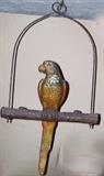 Cast Iron Parrot