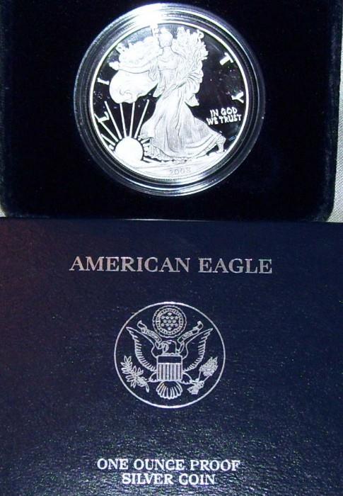 American eagle 1 oz Silver Coin