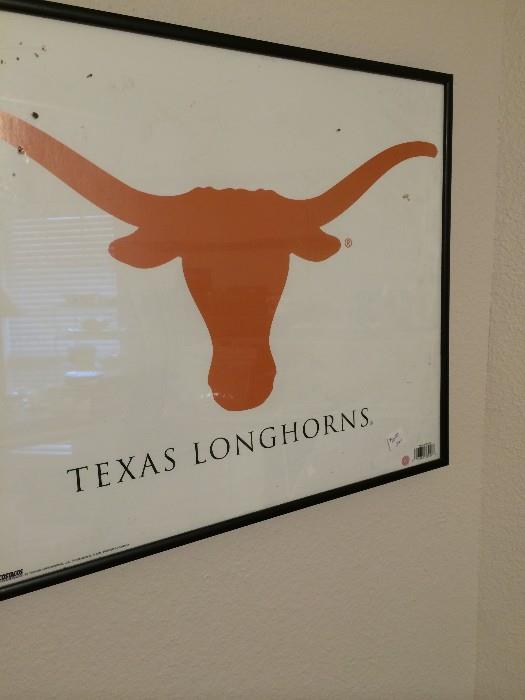                  Texas Longhorn picture