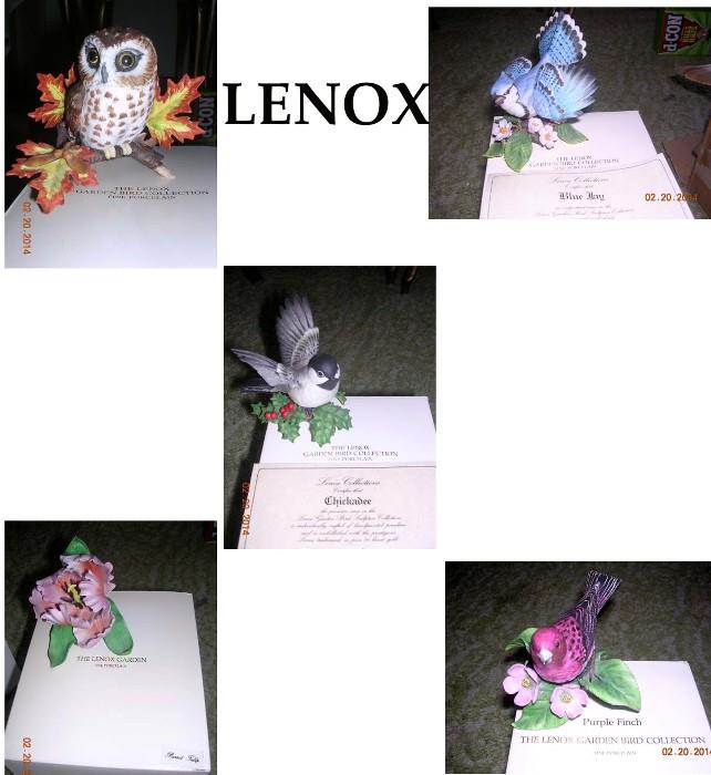 Lenox birds