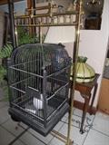 ANTIQUE BIRD CABE