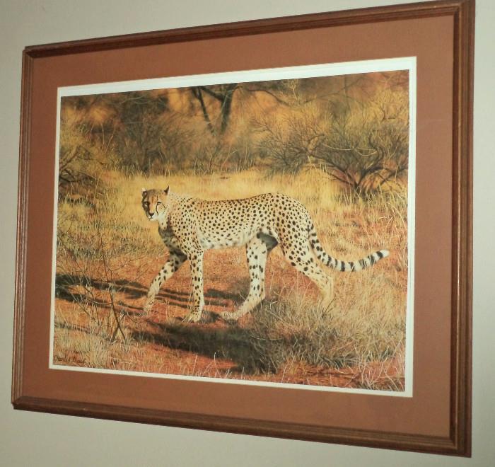 Charles Frace Cheetah Print