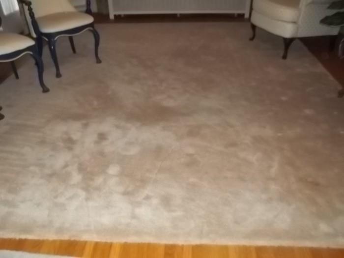large area room carpet $70