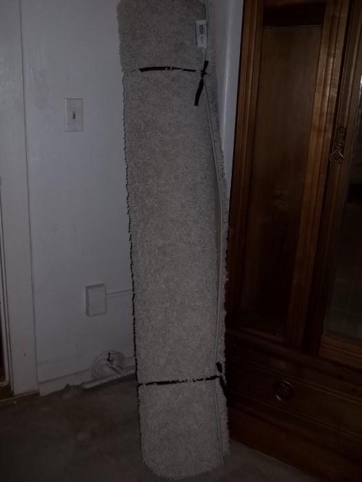 carpet $30