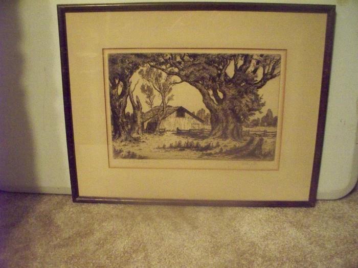 "The Giant Myrtle" by Melville T. Wire etching (signed)