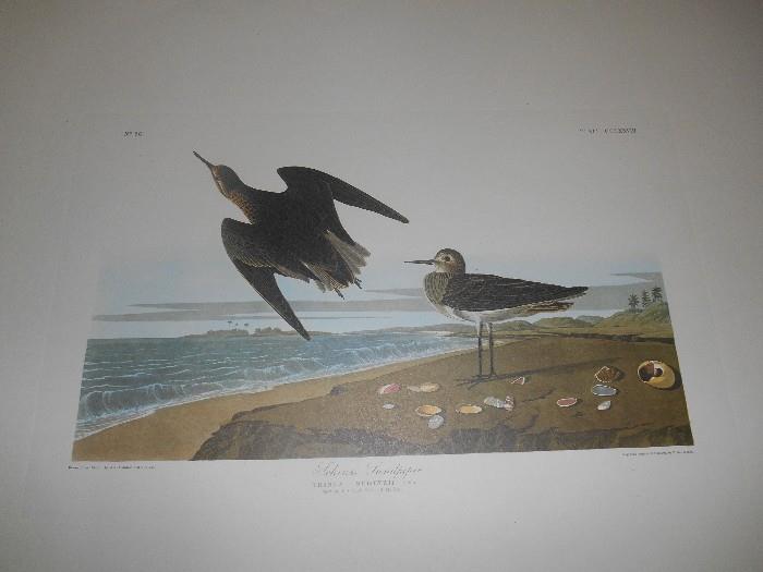 John James Audubon - Amsterdam Edition