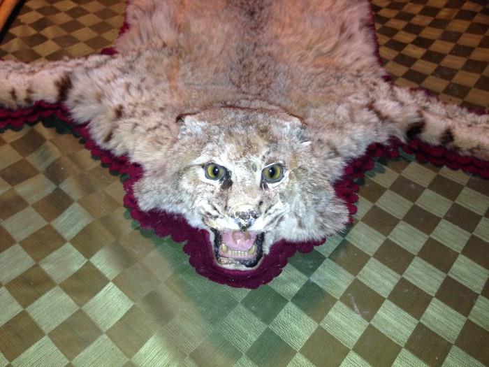 Bobcat fur rug
