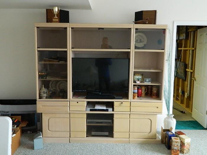 Awesome Entertainment Center