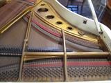 A54 #1 Horugel 5’10” 1986 French Louis 15th Case, Ivory White Guilded , Grand Piano #811739 Condition of 9/10