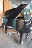 A54#9 Doll &Sons 1906 5’ Baby Grand Piano Black Satin Finish Rough Condition of 7 #177092