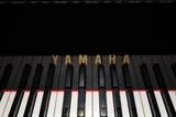 A54 #13 Yamaha  Conservatory 7’6” 1989 Model C-7 Black Hi Gloss Grand Piano Excellent Condition #F4780039