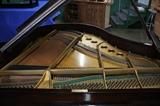 A40 #1 Steinway & Sons 5’1” Model “S” 1936 Walnut Baby Grand Piano Made in Germany  #282153 Condition of 9/10
