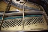 A40 #1 Steinway & Sons 5’1” Model “S” 1936 Walnut Baby Grand Piano Made in Germany  #282153 Condition of 9/10
