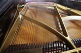 A19 #2 Knabe 6’5” 1922 Walnut Grand Piano *few scratches* #93267 Condition of 8/9