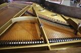 A19 #2 Knabe 6’5” 1922 Walnut Grand Piano *few scratches* #93267 Condition of 8/9