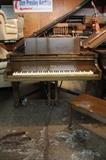 A54 #10 Mehlin & Sons 6’3” 917 Grand Piano  *1 broken strin, small chips* #37009 Condition of 7