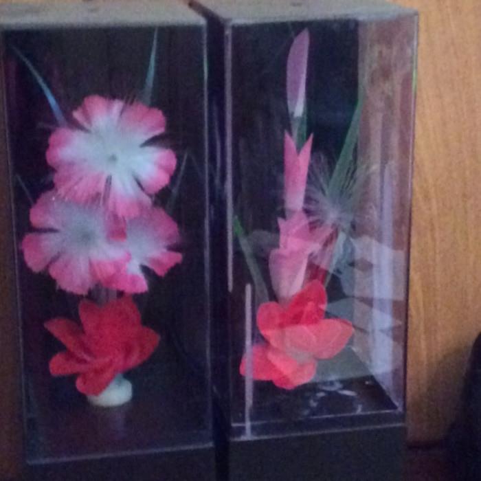 Flowers in glass cases.