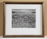 Paula Chamlee B+W contact print from 8x10 negative. Signed and dated 1990