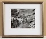 Paula Chamlee signed B+W contact print from 8x10 negative, 14x16 framed, dated 1990