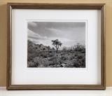 Paula Chamlee B+W contact print from 8x10 negative, 14 x16 professionally framed, signed and dated 1990