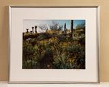 Robert Glenn Ketchum Cibachrome print, "Split Sky" 1993, numbered 6/15, professionally matted and framed