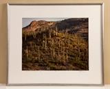 Robert Glenn Ketchum Cibachrome print, "Spring Dawn"  1993, numbered 4/33