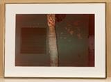 Framed Photograph by Gary Sverdlow (U of M professor), 22"x30", "La Casa Verde con Palma"